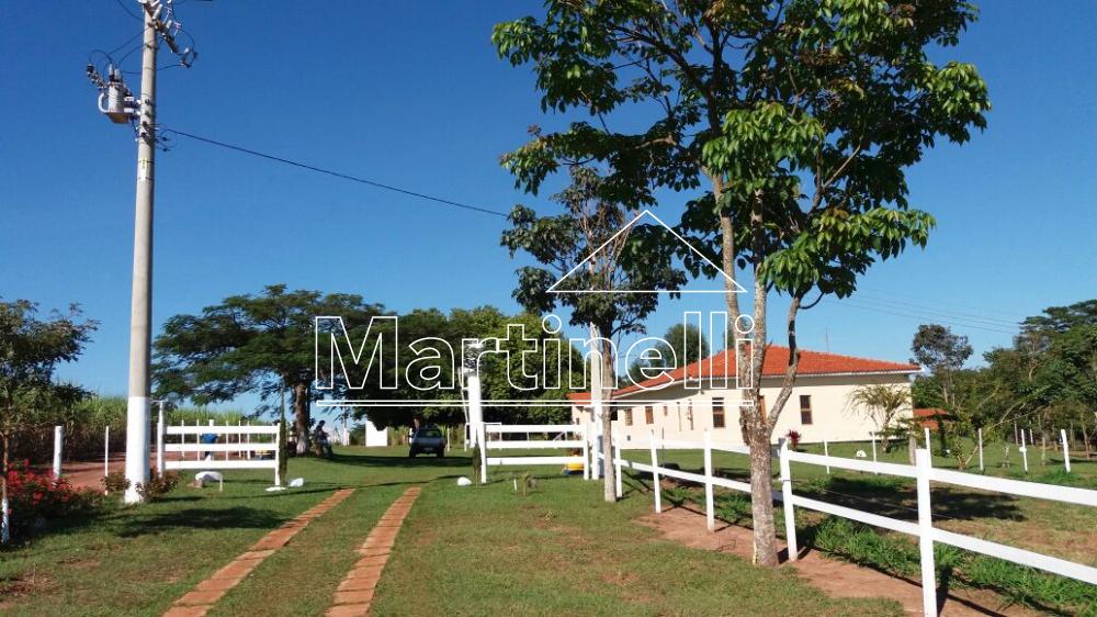 Alugar Rural / Chácara em Cajuru. apenas R$ 490.000,00 Alugar Rural / Chácara em Cajuru. apenas R$ 490.000,00