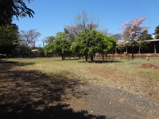 Alugar Imóvel Comercial / Salão em Ribeirão Preto apenas R$ 30.000,00 - Foto 3 Alugar Imóvel Comercial / Salão em Ribeirão Preto apenas R$ 30.000,00 - Foto 3