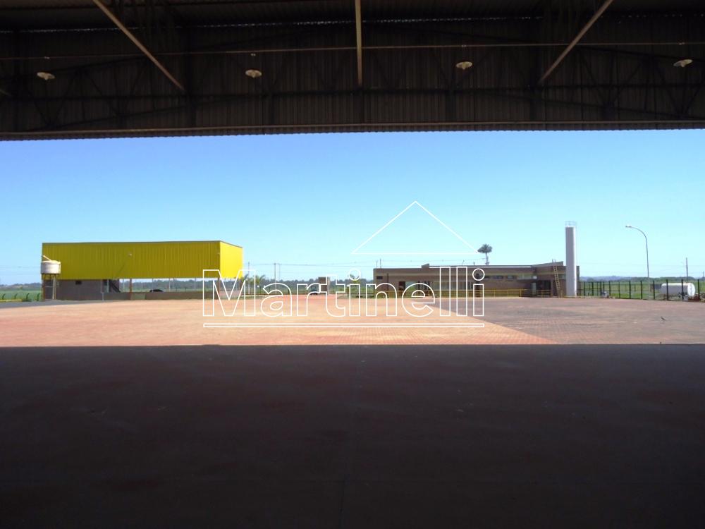 Alugar Imóvel Comercial / Imóvel Comercial em Ribeirão Preto apenas R$ 37.000,00 - Foto 4 Alugar Imóvel Comercial / Imóvel Comercial em Ribeirão Preto apenas R$ 37.000,00 - Foto 4