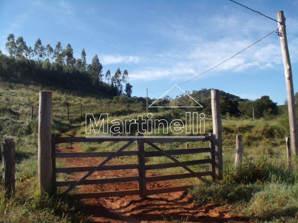 Comprar Rural / Fazendas - Sitios em Caconde apenas R$ 480.000,00 - Foto 2 Comprar Rural / Fazendas - Sitios em Caconde apenas R$ 480.000,00 - Foto 2