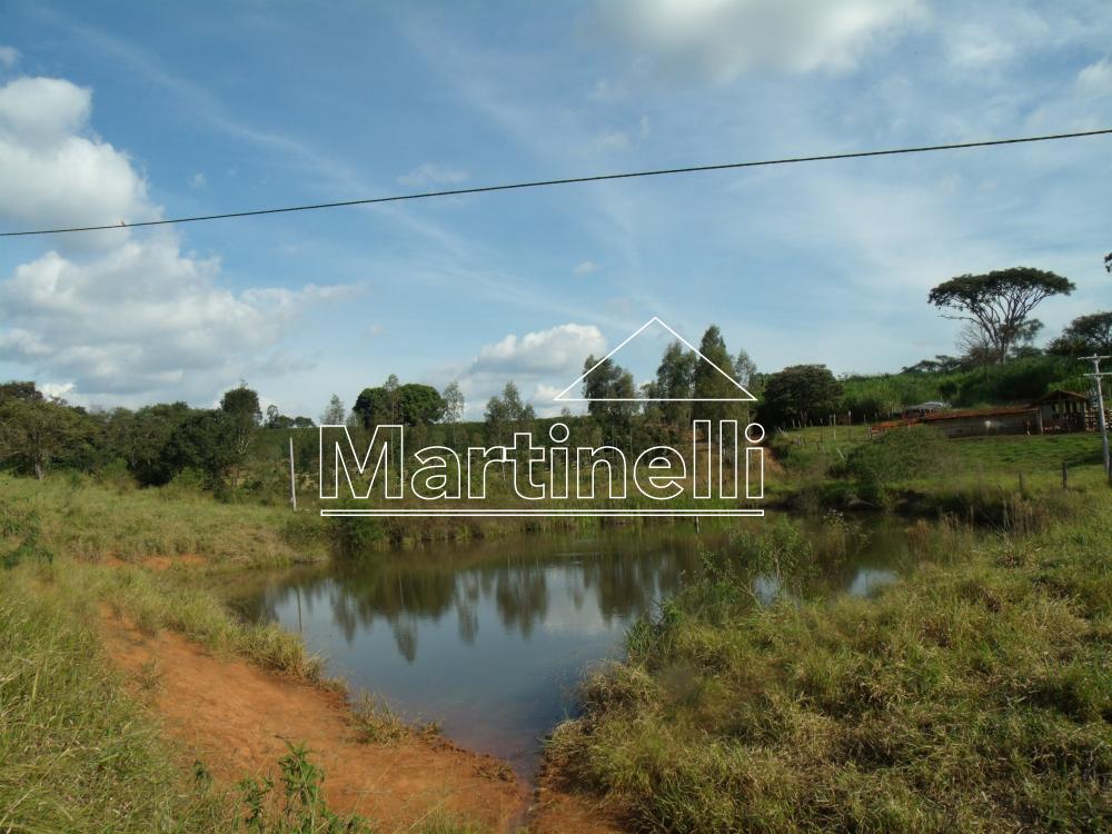 Comprar Rural / Fazendas - Sitios em Caconde apenas R$ 480.000,00 - Foto 3 Comprar Rural / Fazendas - Sitios em Caconde apenas R$ 480.000,00 - Foto 3