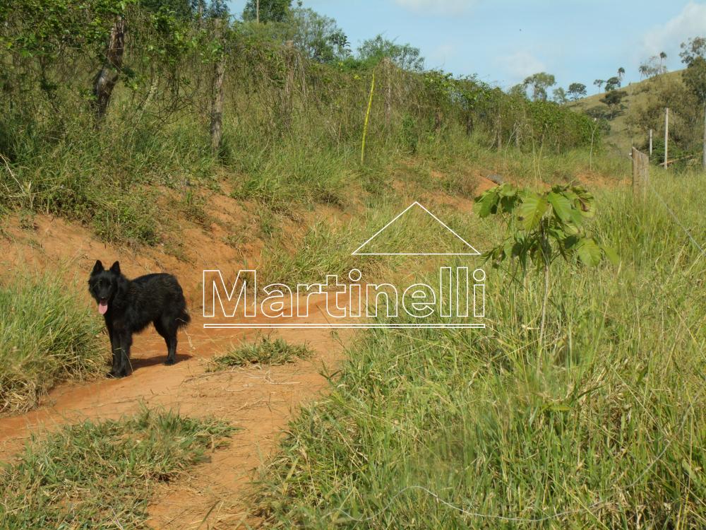 Comprar Rural / Fazendas - Sitios em Caconde apenas R$ 480.000,00 - Foto 4 Comprar Rural / Fazendas - Sitios em Caconde apenas R$ 480.000,00 - Foto 4