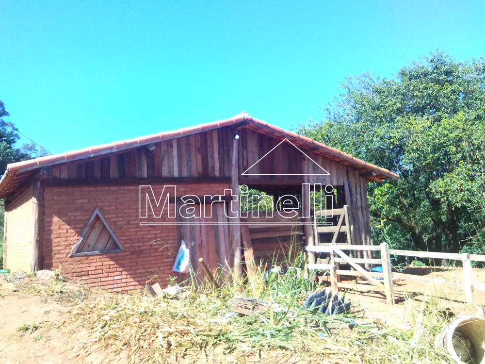 Comprar Rural / Fazendas - Sitios em Caconde apenas R$ 480.000,00 - Foto 6 Comprar Rural / Fazendas - Sitios em Caconde apenas R$ 480.000,00 - Foto 6