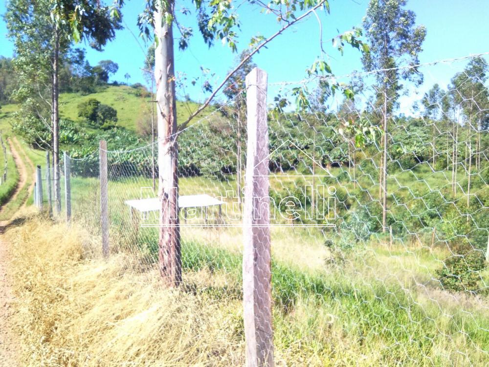 Comprar Rural / Fazendas - Sitios em Caconde apenas R$ 480.000,00 - Foto 7 Comprar Rural / Fazendas - Sitios em Caconde apenas R$ 480.000,00 - Foto 7