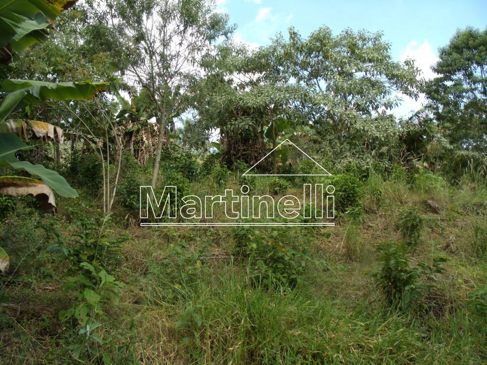 Comprar Rural / Fazendas - Sitios em Caconde apenas R$ 480.000,00 - Foto 9 Comprar Rural / Fazendas - Sitios em Caconde apenas R$ 480.000,00 - Foto 9