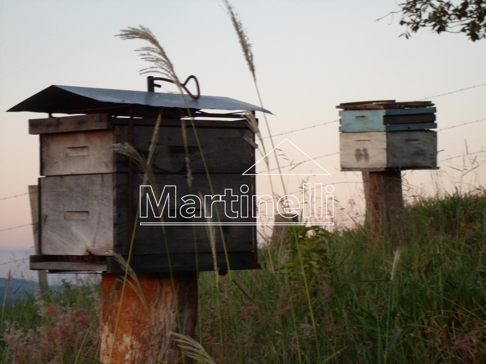 Comprar Rural / Fazendas - Sitios em Caconde apenas R$ 480.000,00 - Foto 10 Comprar Rural / Fazendas - Sitios em Caconde apenas R$ 480.000,00 - Foto 10
