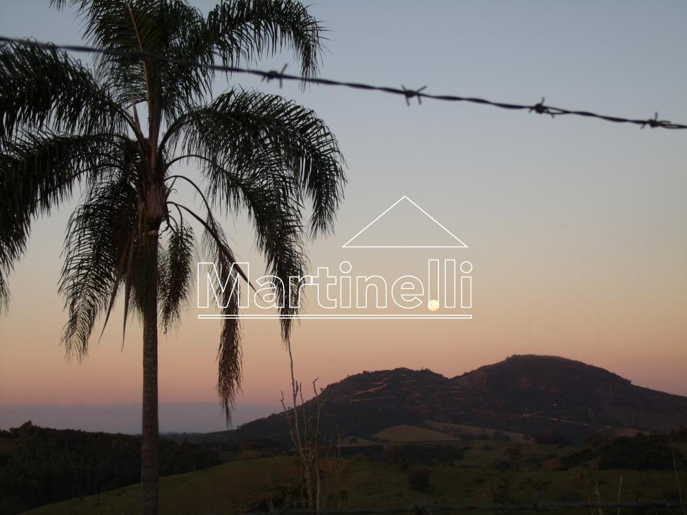 Comprar Rural / Fazendas - Sitios em Caconde apenas R$ 480.000,00 - Foto 11 Comprar Rural / Fazendas - Sitios em Caconde apenas R$ 480.000,00 - Foto 11