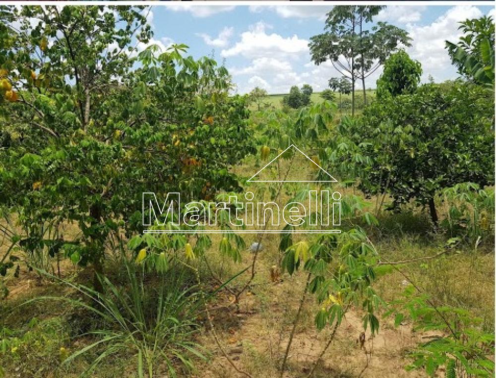 Comprar Rural / Ranchos em Jardinópolis apenas R$ 225.000,00 - Foto 19 Comprar Rural / Ranchos em Jardinópolis apenas R$ 225.000,00 - Foto 19