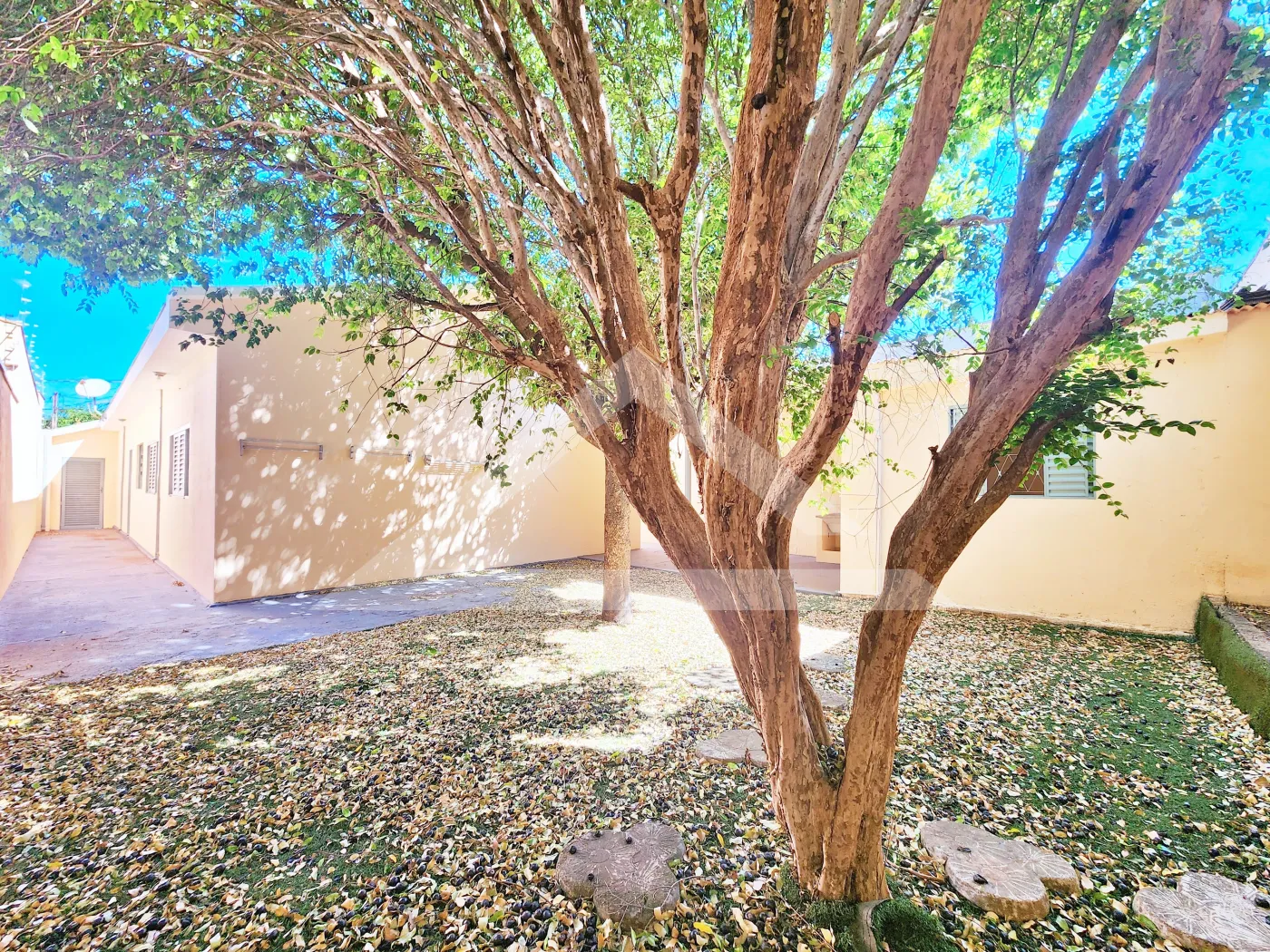 Alugar Casa / Térrea Padrão em Ribeirão Preto R$ 1.700,00 - Foto 25