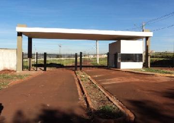 imagem 2 - Terreno residencial à venda no Condomínio Raios de Sol, próximo à Rodovia José Fregonezi - Ribeirão Preto/SP. imagem 2 - Terreno residencial à venda no Condomínio Raios de Sol, próximo à Rodovia José Fregonezi - Ribeirão Preto/SP.