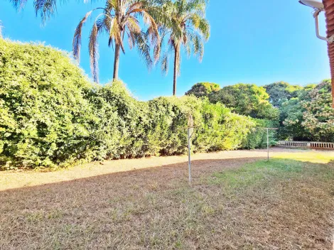 imagem 5 - Chácara de 2.500m² de área terreno para locação no Condomínio Estância Beira Rio, próximo ao Posto Beraldo - Bairro Beira Rio, Jardinópolis/SP. imagem 5 - Chácara de 2.500m² de área terreno para locação no Condomínio Estância Beira Rio, próximo ao Posto Beraldo - Bairro Beira Rio, Jardinópolis/SP.