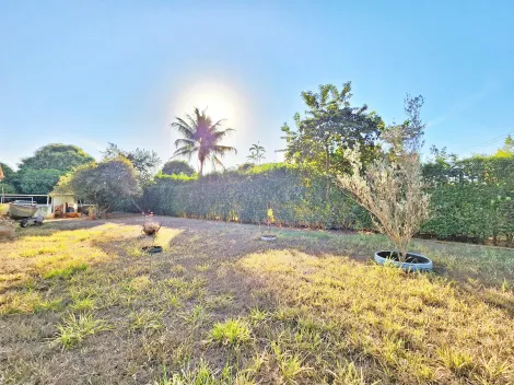 imagem 3 - Chácara de 2.500m² de área terreno para locação no Condomínio Estância Beira Rio, próximo ao Posto Beraldo - Bairro Beira Rio, Jardinópolis/SP. imagem 3 - Chácara de 2.500m² de área terreno para locação no Condomínio Estância Beira Rio, próximo ao Posto Beraldo - Bairro Beira Rio, Jardinópolis/SP.