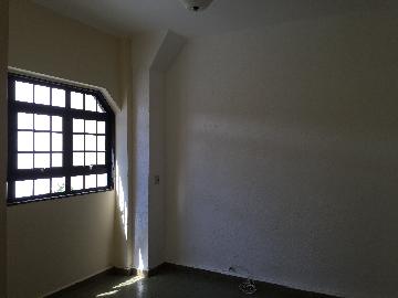 imagem 3 - Casa - Térrea Padrão imagem 3 - Casa - Térrea Padrão