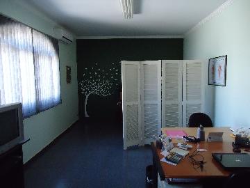 imagem 3 - Casa - Térrea Padrão imagem 3 - Casa - Térrea Padrão