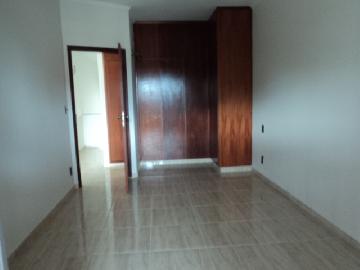 imagem 3 - Casa - Térrea Padrão imagem 3 - Casa - Térrea Padrão