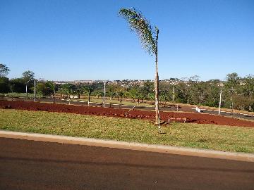 imagem 3 - Terreno - Padrão imagem 3 - Terreno - Padrão