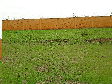 imagem 5 - Terreno - Padrão imagem 5 - Terreno - Padrão