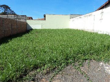imagem 3 - Terreno - Padrão imagem 3 - Terreno - Padrão