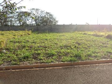 imagem 4 - Terreno - Condomínio imagem 4 - Terreno - Condomínio