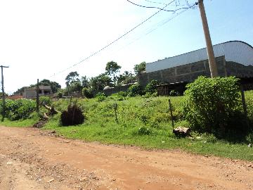 Alugar Terreno / Padrão em Ribeirão Preto. apenas R$ 4.000,00