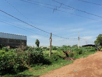 Alugar Terreno / Padrão em Ribeirão Preto R$ 4.000,00 - Foto 2 Alugar Terreno / Padrão em Ribeirão Preto R$ 4.000,00 - Foto 2