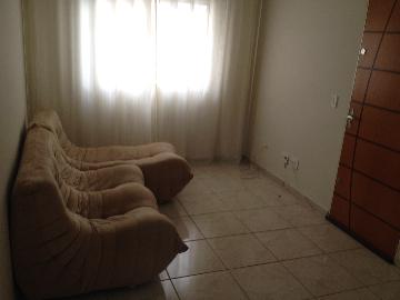 imagem 1 - Apartamento - Padrão imagem 1 - Apartamento - Padrão