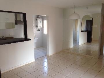 imagem 3 - Apartamento - Padrão imagem 3 - Apartamento - Padrão