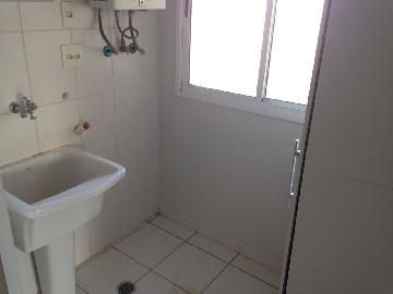 imagem 5 - Apartamento - Padrão imagem 5 - Apartamento - Padrão