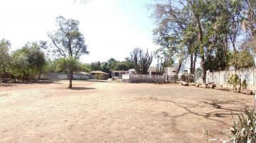 imagem 2 - Chácara - Padrão imagem 2 - Chácara - Padrão