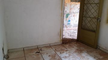 imagem 5 - Casa - Térrea Padrão imagem 5 - Casa - Térrea Padrão