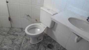 imagem 5 - Casa - Térrea Padrão imagem 5 - Casa - Térrea Padrão