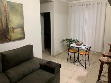 imagem 3 - Apartamento - Padrão imagem 3 - Apartamento - Padrão