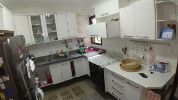 imagem 3 - Apartamento - Padrão imagem 3 - Apartamento - Padrão