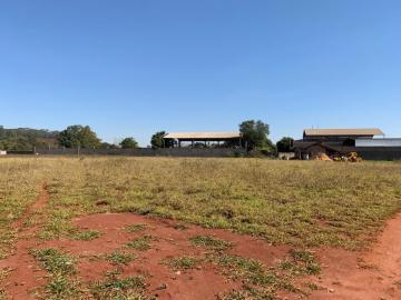 imagem 1 - Terreno comercial/industrial para locação no Bairro Esplanada da Estação, próximo ao futuro Aeroporto Internacional - Ribeirão Preto/SP. imagem 1 - Terreno comercial/industrial para locação no Bairro Esplanada da Estação, próximo ao futuro Aeroporto Internacional - Ribeirão Preto/SP.