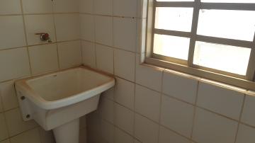 imagem 5 - Apartamento - Padrão imagem 5 - Apartamento - Padrão