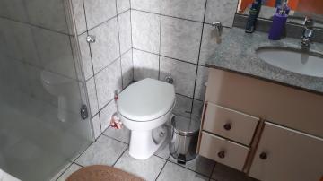 imagem 5 - Apartamento - Padrão imagem 5 - Apartamento - Padrão