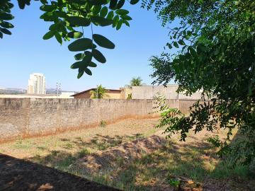 imagem 1 - Terreno - Padrão imagem 1 - Terreno - Padrão