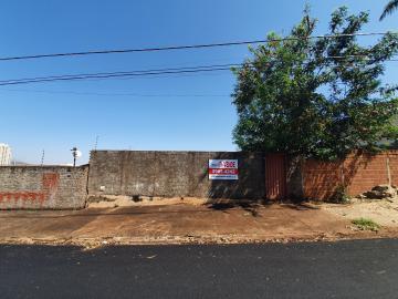 imagem 3 - Terreno - Padrão imagem 3 - Terreno - Padrão