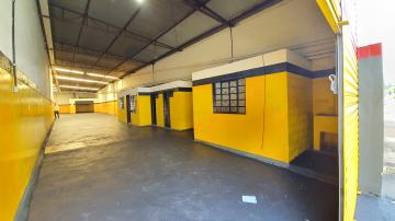 imagem 1 - Comercial - Galpão imagem 1 - Comercial - Galpão