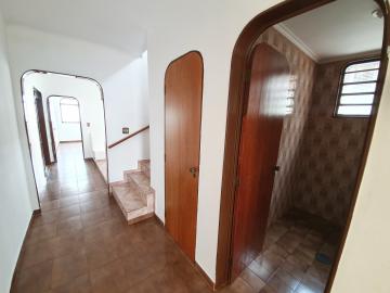 imagem 3 - Casa - Térrea Padrão imagem 3 - Casa - Térrea Padrão