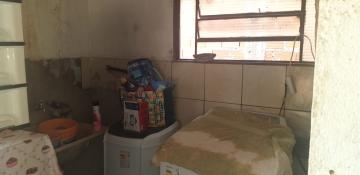 imagem 5 - Chácara - Padrão imagem 5 - Chácara - Padrão