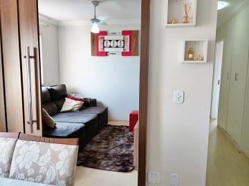 imagem 1 - Apartamento - Padrão imagem 1 - Apartamento - Padrão