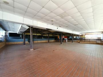 imagem 5 - Imóvel comercial para locação no Bairro Alto da Boa Vista, próximo a Avenida Professor João Fiúsa - Ribeirão Preto/SP. imagem 5 - Imóvel comercial para locação no Bairro Alto da Boa Vista, próximo a Avenida Professor João Fiúsa - Ribeirão Preto/SP.
