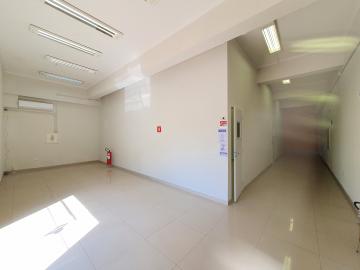 imagem 1 - Imóvel comercial para locação no Bairro Ipiranga, próximo a Rua Capitão Salomão - Ribeirão Preto/SP. imagem 1 - Imóvel comercial para locação no Bairro Ipiranga, próximo a Rua Capitão Salomão - Ribeirão Preto/SP.