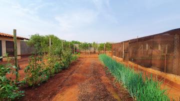 Comprar Casa / Condomínio em Jardinópolis R$ 980.000,00 - Foto 41 Comprar Casa / Condomínio em Jardinópolis R$ 980.000,00 - Foto 41