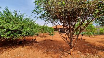 Comprar Casa / Condomínio em Jardinópolis R$ 980.000,00 - Foto 45 Comprar Casa / Condomínio em Jardinópolis R$ 980.000,00 - Foto 45