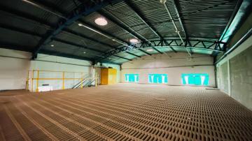 imagem 5 - Comercial - Galpão imagem 5 - Comercial - Galpão