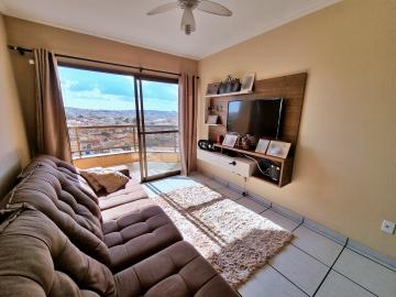 imagem 1 - Apartamento - Padrão imagem 1 - Apartamento - Padrão
