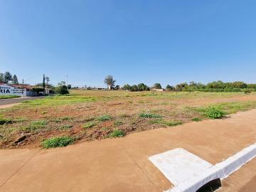 imagem 4 - Terreno Comercial de 720m² a venda em frente ao Parque Linear, próximo ao Mc Donald`s - Bairro Centro, Sertãozinho/SP. imagem 4 - Terreno Comercial de 720m² a venda em frente ao Parque Linear, próximo ao Mc Donald`s - Bairro Centro, Sertãozinho/SP.
