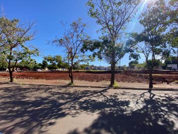 imagem 1 - Terreno Comercial de 579m² de área terreno para venda e locação na Rua Paulo de Frontim - Bairro Parque Ribeirão Preto, Ribeirão Preto/SP. imagem 1 - Terreno Comercial de 579m² de área terreno para venda e locação na Rua Paulo de Frontim - Bairro Parque Ribeirão Preto, Ribeirão Preto/SP.